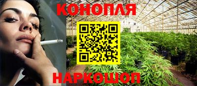 мяу мяу мука Владикавказ