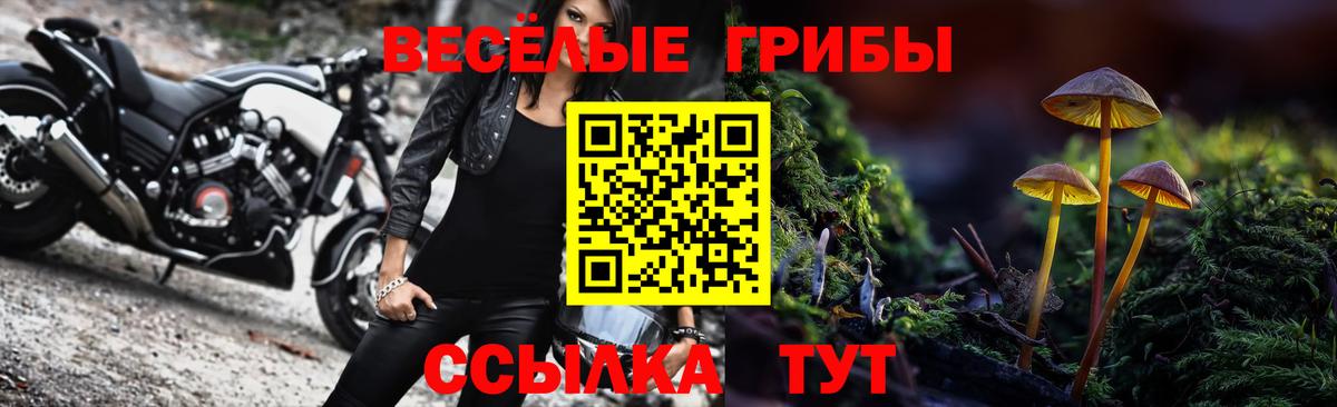 Волгоград  Галлюциногенные грибы Cubensis  Галлюциногенные грибы Psilocybe  Вход с VPN 